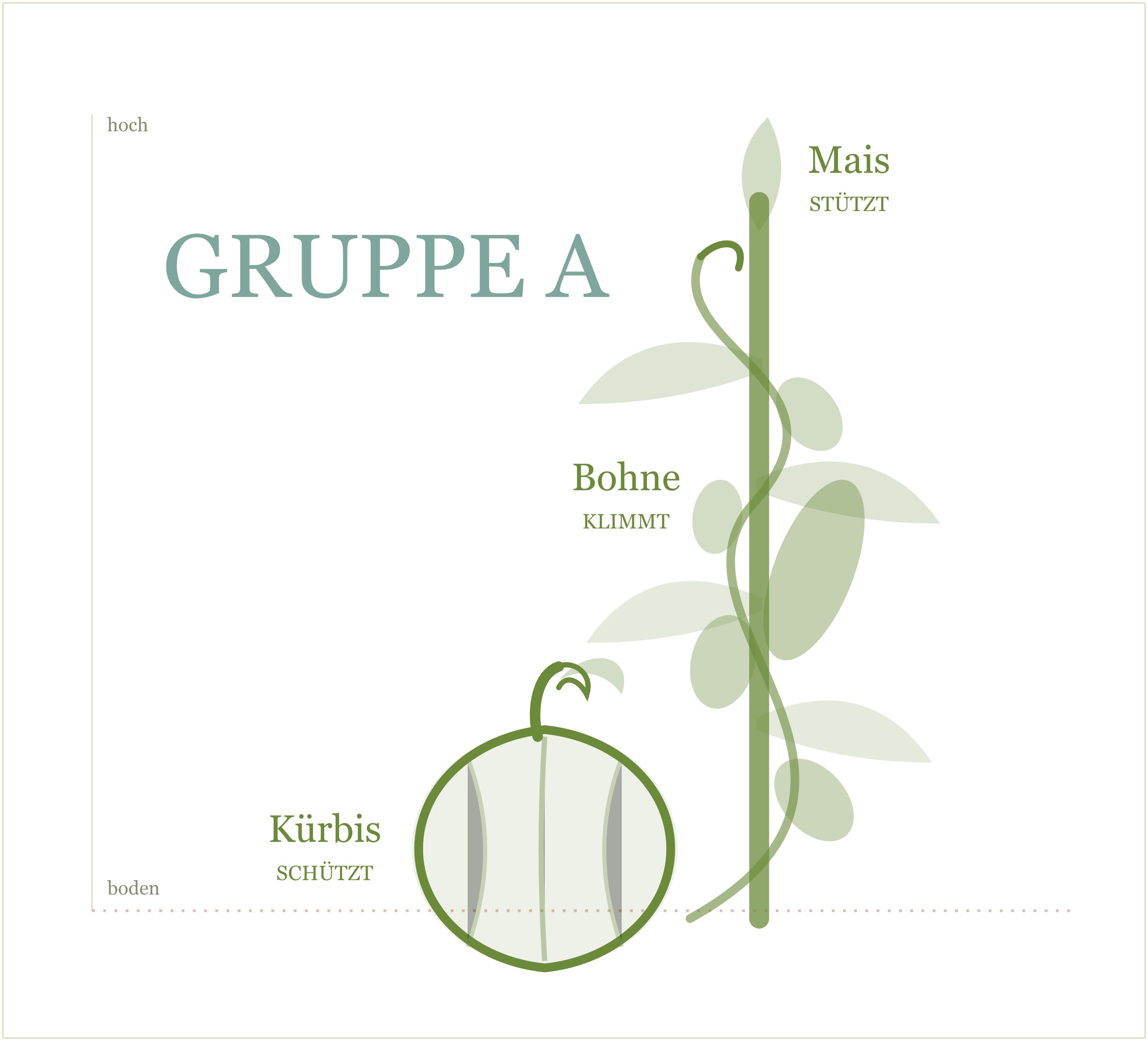 Drei-Schwestern-Gilde: Bohnen und Kürbis (Gruppe A)